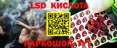 ПСИЛОЦИБИНОВЫЕ ГРИБЫ Балахна