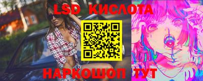 spice Гай