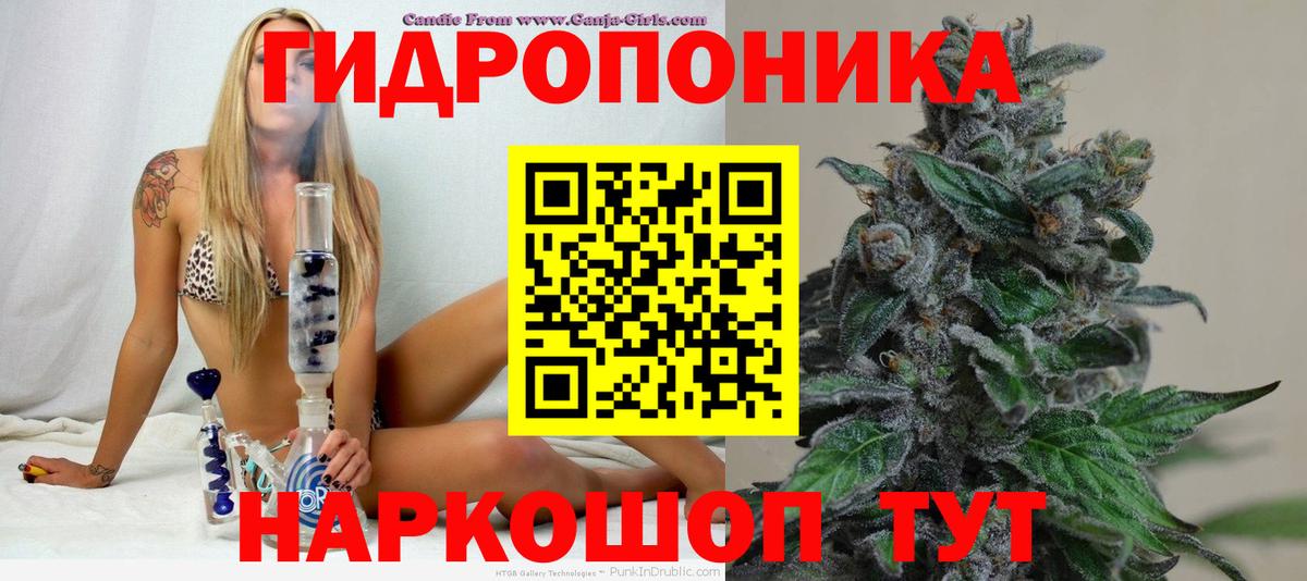 Шишки марихуана сатива Заволжье
